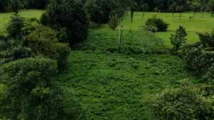 Foto 9-11-24, 10 13 22 a. m.